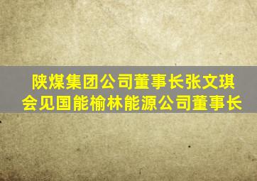 陕煤集团公司董事长张文琪会见国能榆林能源公司董事长