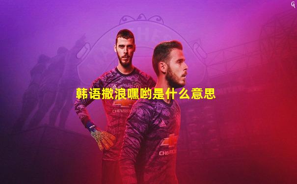 韩语撒浪嘿哟是什么意思